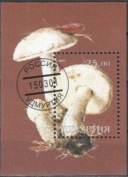 Mushroom