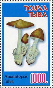 Stamp, Mushroom, Cinderellas,  , Mushrooms