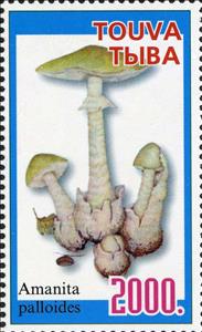 Stamp, Mushroom, Cinderellas,  , Mushrooms