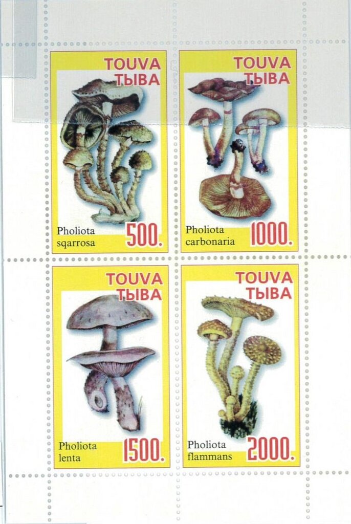 Mushrooms