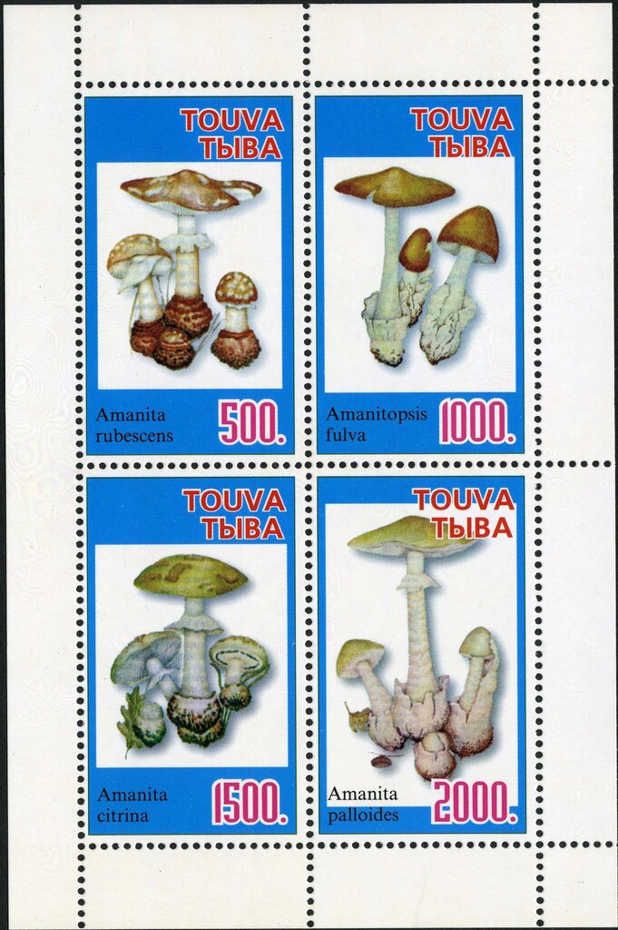 Mushrooms