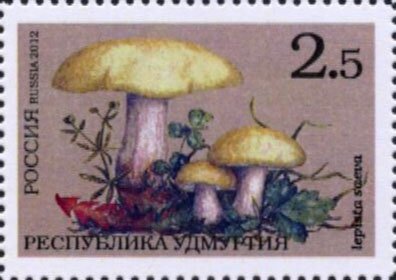 Mushrooms
