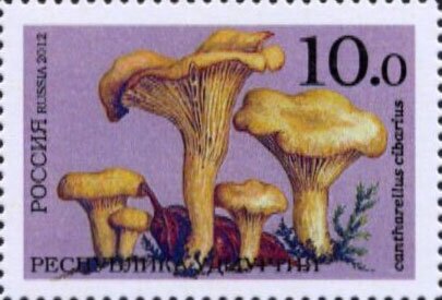 Mushrooms