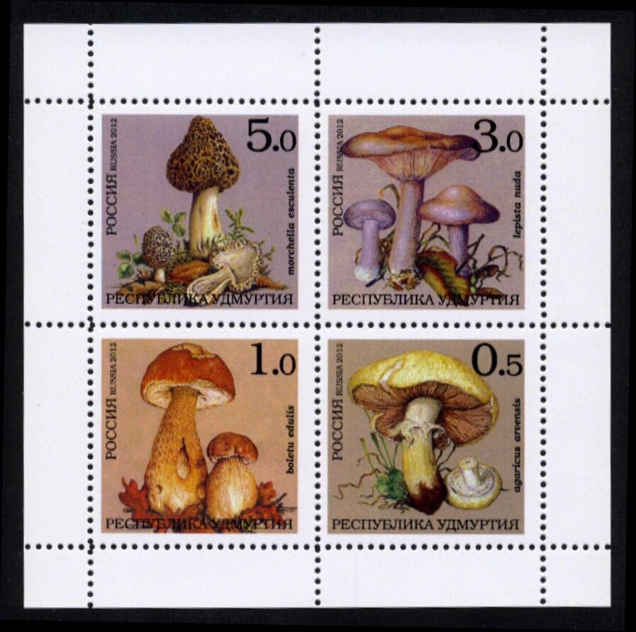 Mushrooms