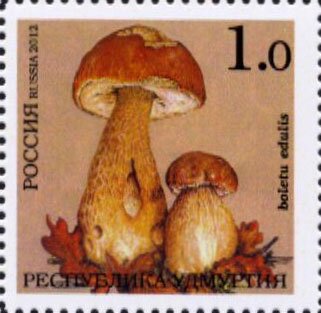Mushrooms
