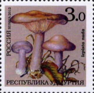 Mushrooms