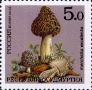 Mushrooms