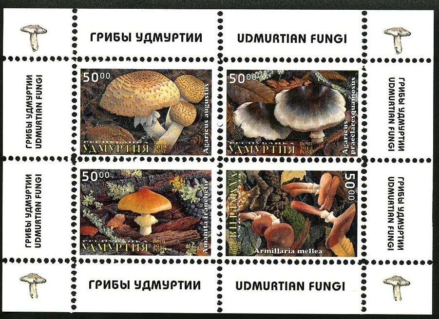 Mushrooms