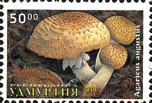 Stamp, Mushrooms, Cinderellas,  , Mushrooms