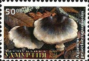 Mushrooms