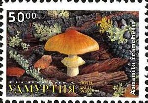 Mushrooms