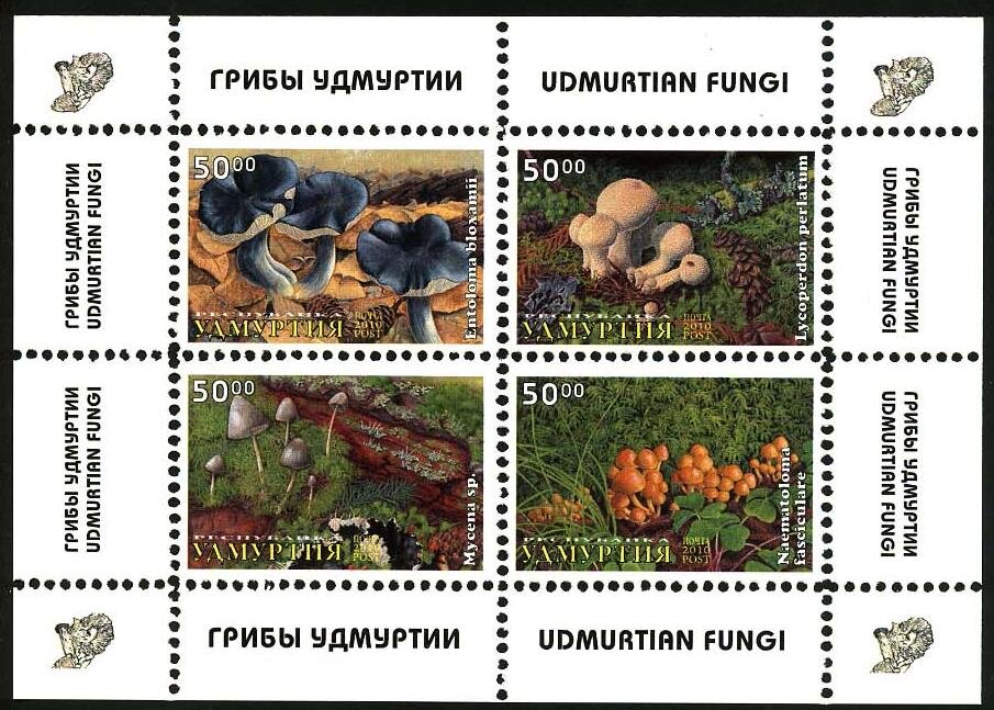 Mushrooms