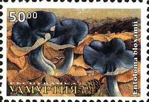 Mushrooms