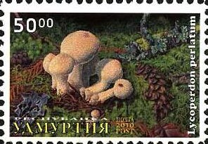 Mushrooms