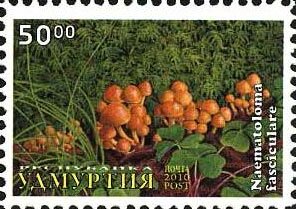 Stamp, Mushrooms, Cinderellas,  , Mushrooms