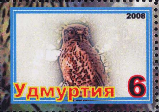 Owls