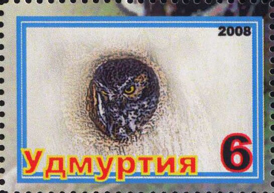 Owls