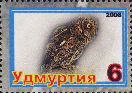 Owls