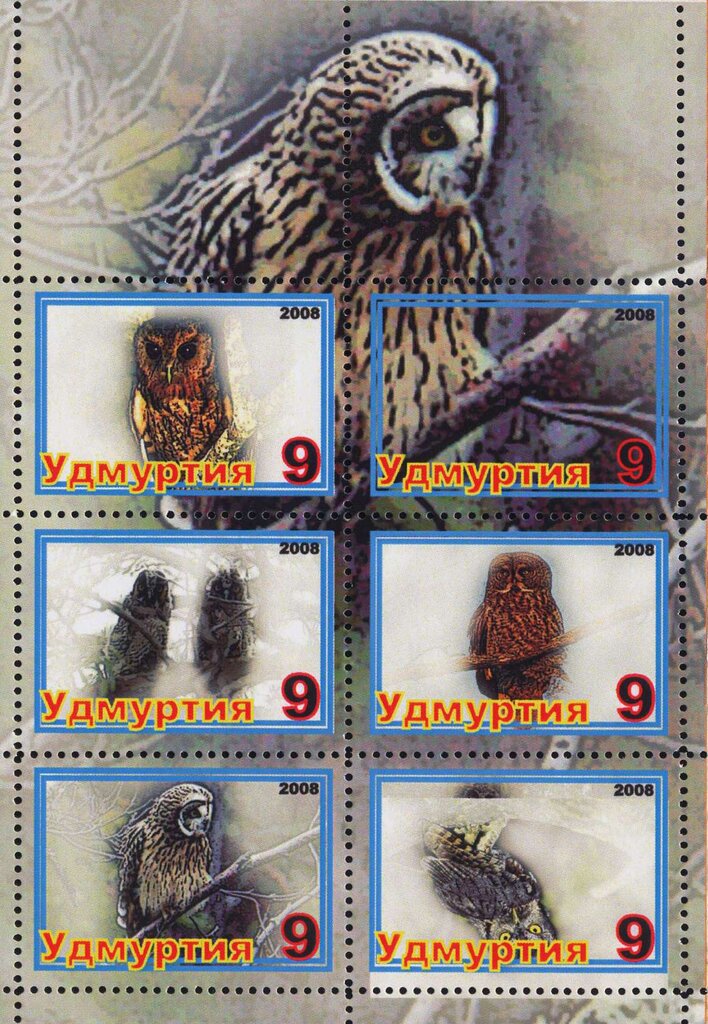 Owls