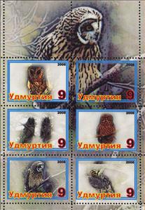 Mini Sheet, Owls, Cinderellas,  , Animals (Fauna), Birds, Owls