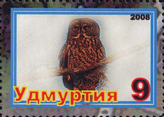 Owls