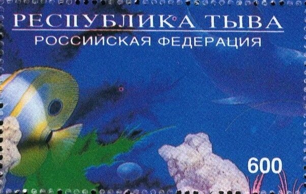 Sea Life