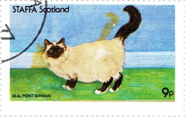Seal Point Birman