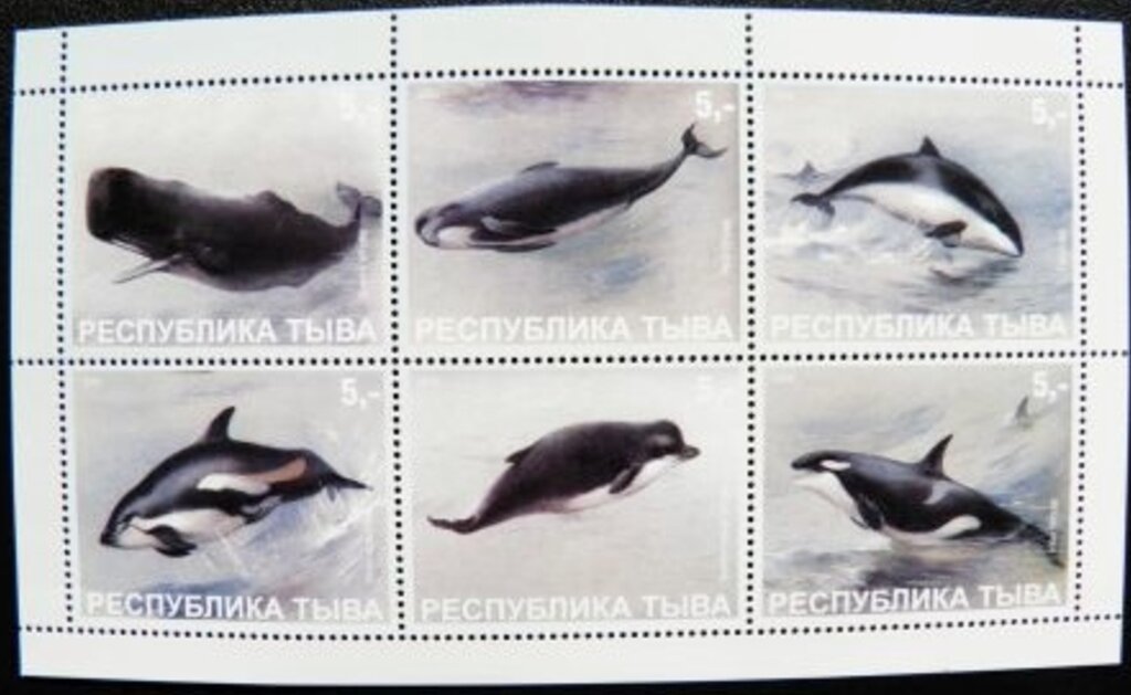 Whales