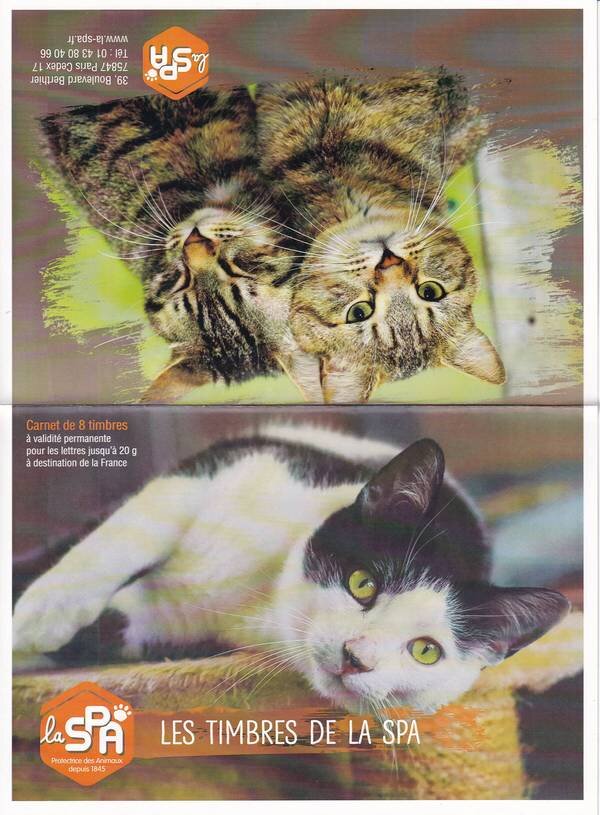 Collector : SPA Society Protection Animals. Cats