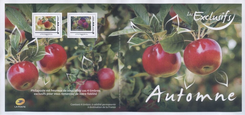 Les Exclusifs Autumn. Red Figs and Apples