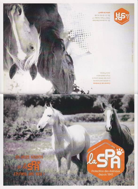 SPA Society Protection Animals. Horses