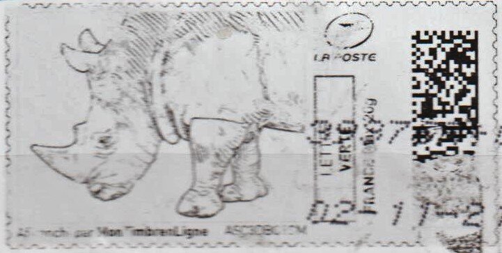 Rhino