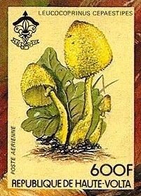 Stamp, Leucocoprinus cepaestipes, Upper Volta,  , Mushrooms