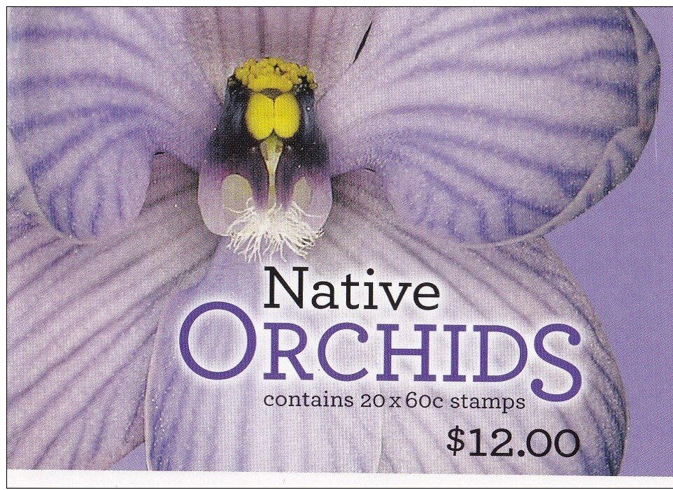 Shirt Orchid