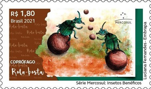 Dung Beetle