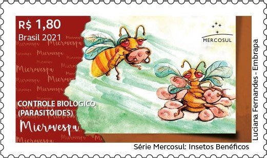 Microwasps
