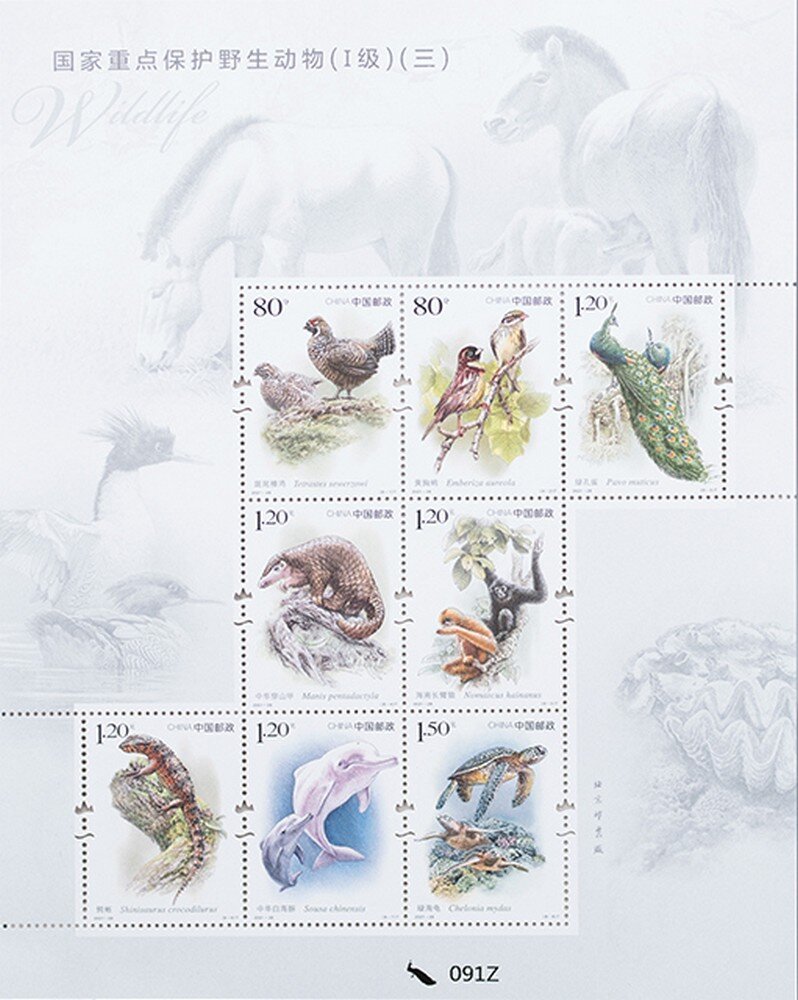 Endangered Wildlife of China