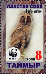 Stamp, Asio otus, Cinderellas,  , Animals (Fauna), Birds, Owls