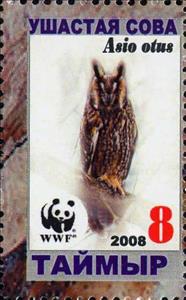 Stamp, Asio otus, Cinderellas,  , Animals (Fauna), Birds, Owls