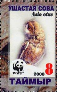 Stamp, Asio otus, Cinderellas,  , Animals (Fauna), Birds, Owls