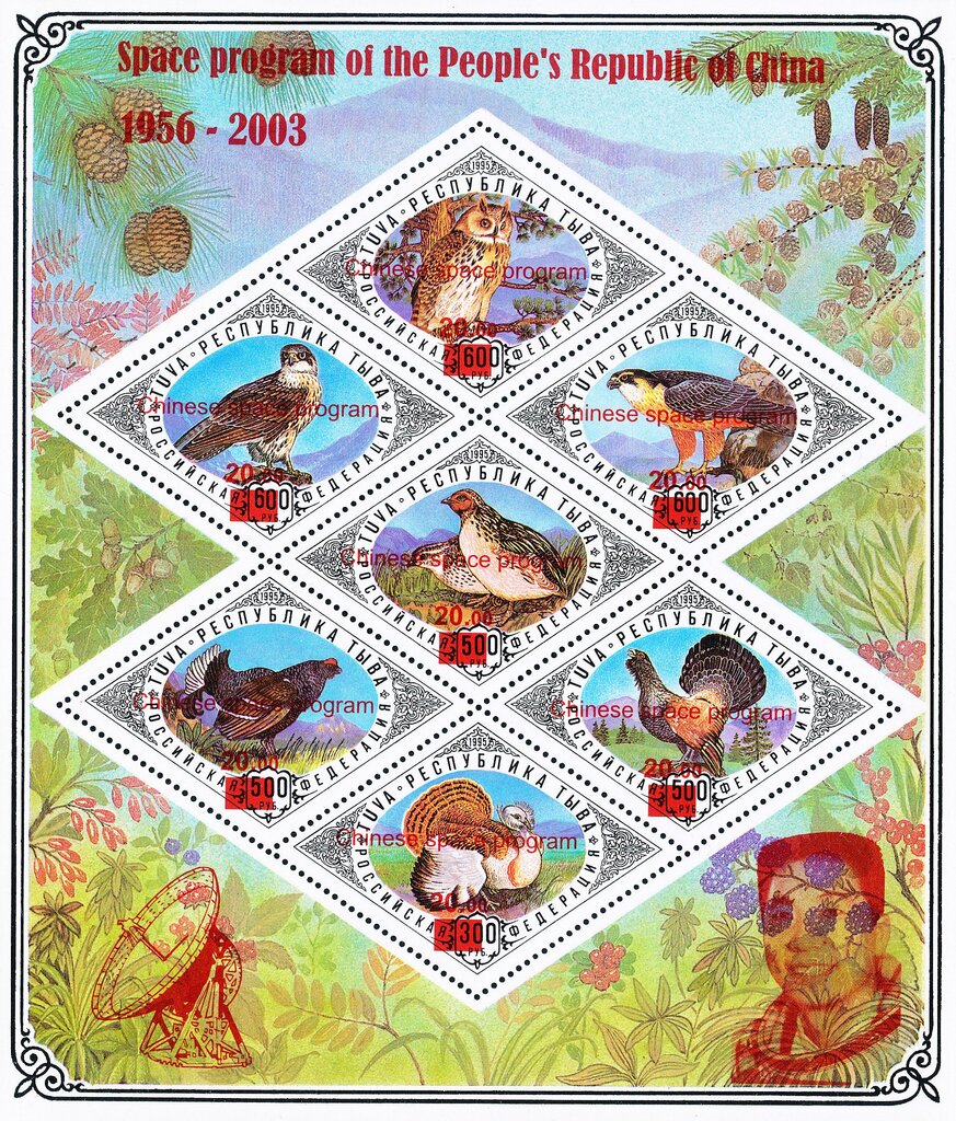 Birds overprints "Chinese space program"