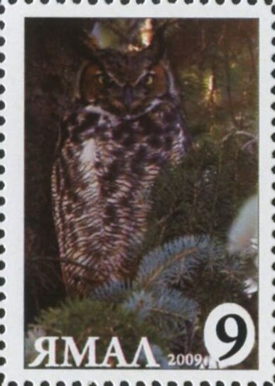 Bubo bubo