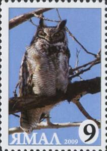 Stamp, Bubo bubo, Cinderellas,  , Animals (Fauna), Birds, Birds of Prey, Owls