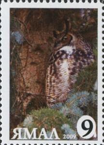 Stamp, Bubo bubo, Cinderellas,  , Animals (Fauna), Birds, Birds of Prey, Owls