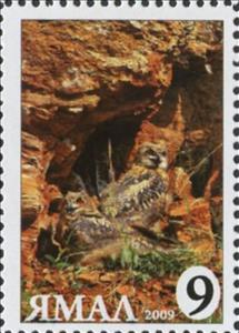 Stamp, Bubo bubo, Cinderellas,  , Animals (Fauna), Birds, Birds of Prey, Owls