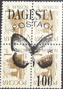 Butterflies