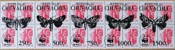 Butterflies WWF