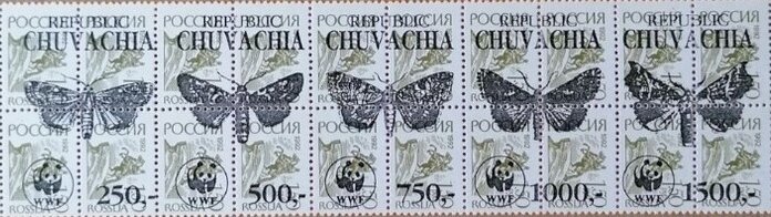 Butterflies WWF