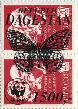 Butterflies WWF