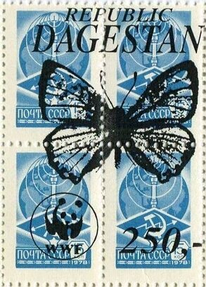Butterflies WWF